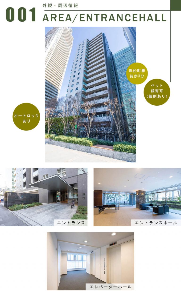 スカイグランデ汐留の外観・周辺情報