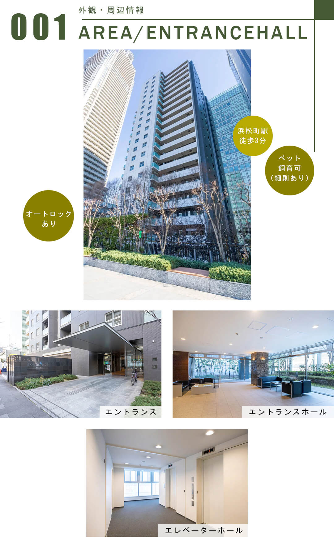 スカイグランデ汐留の外観・周辺情報