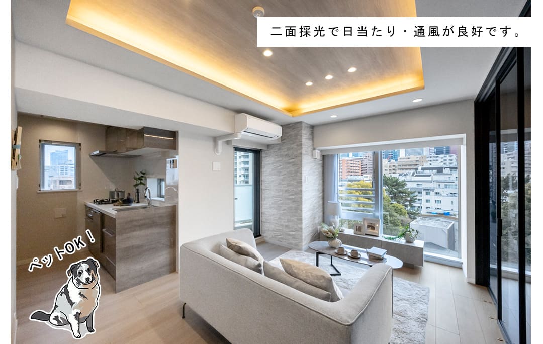 ディアクオーレ白金高輪のリビングダイニング