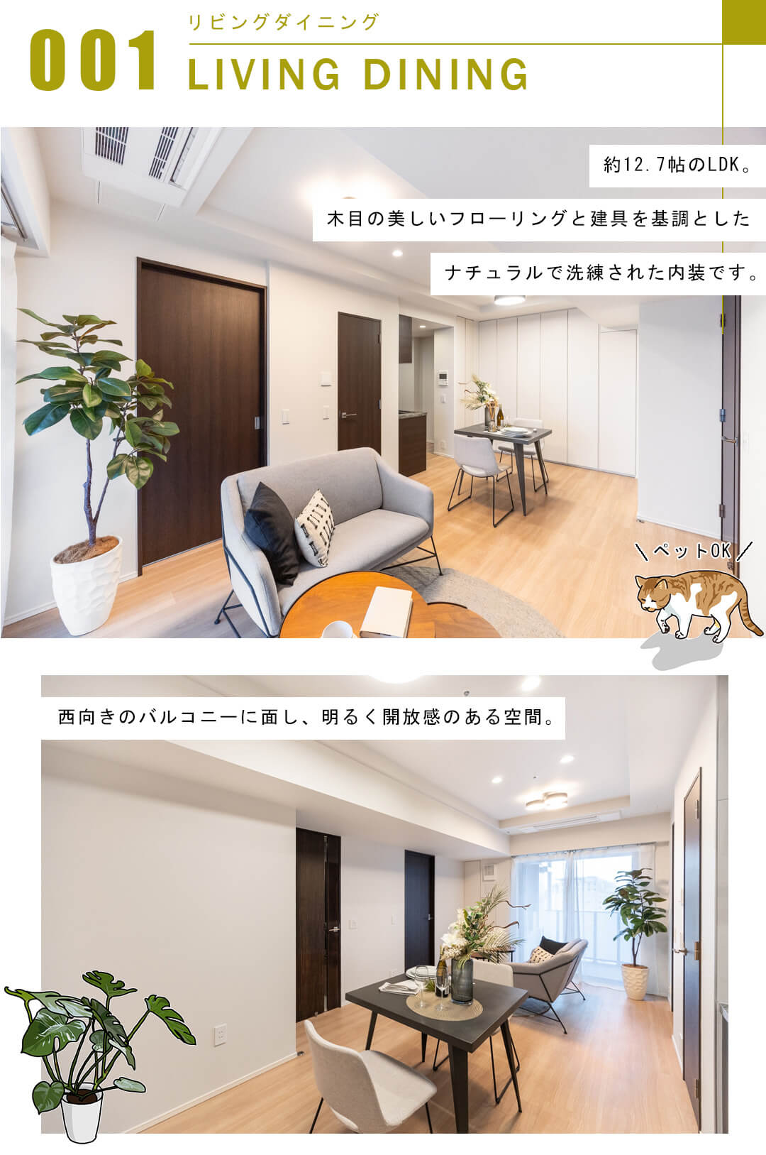 プラウド文京千駄木のリビングダイニング