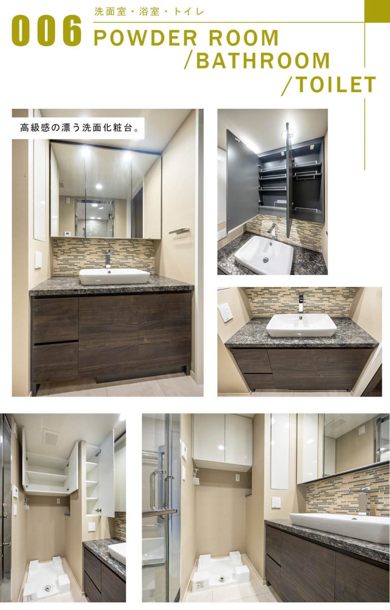 シティタワー虎ノ門の洗面室