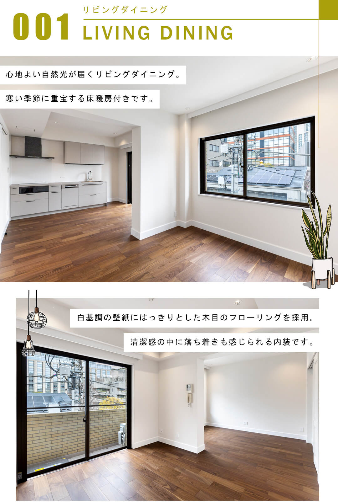 イースタンホームズ六本木のリビングダイニング