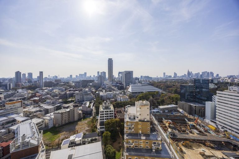 眺望（南西側）