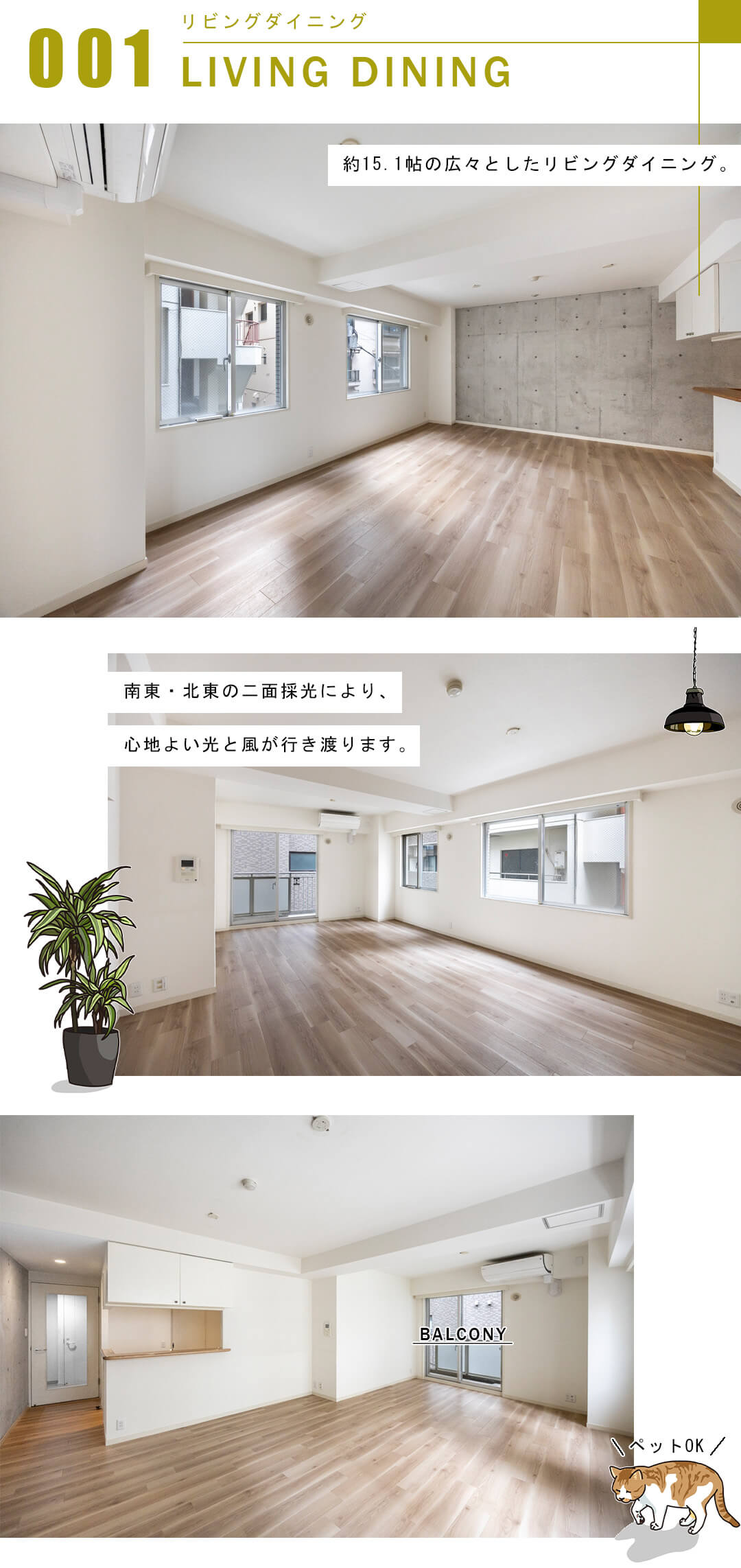 東急ドエル・アルス麻布十番のリビングダイニング