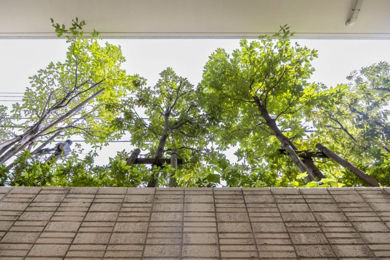 ドライエリアテラス