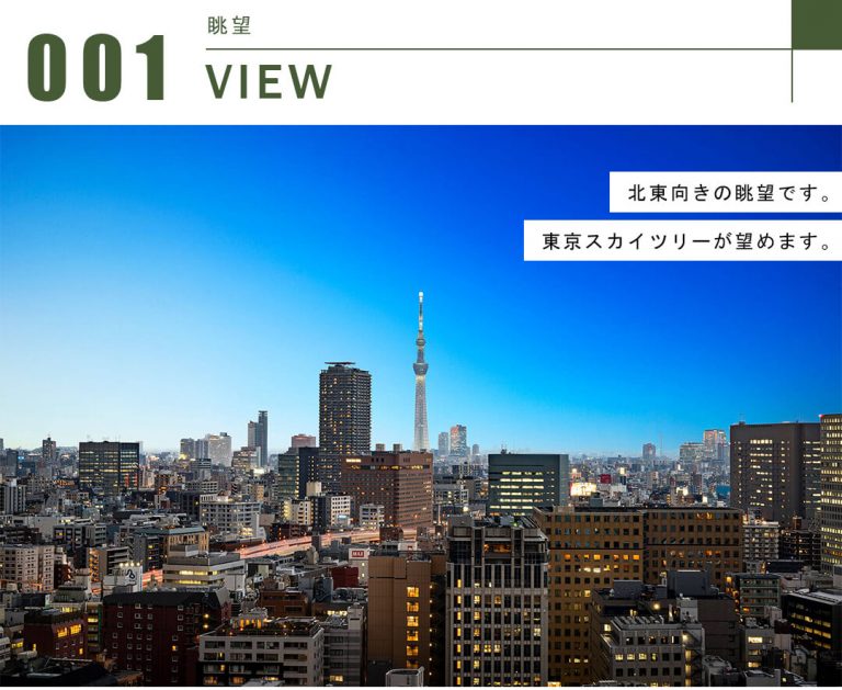 ブリリアザ・タワー東京八重洲アベニューの眺望