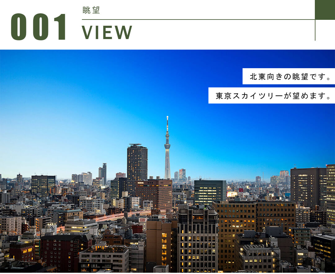 ブリリアザ・タワー東京八重洲アベニューの眺望