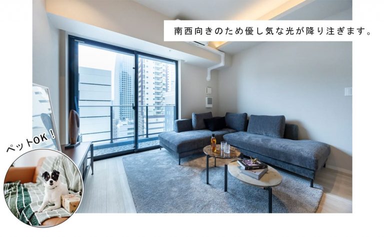 パークリュクス虎ノ門のリビングダイニング