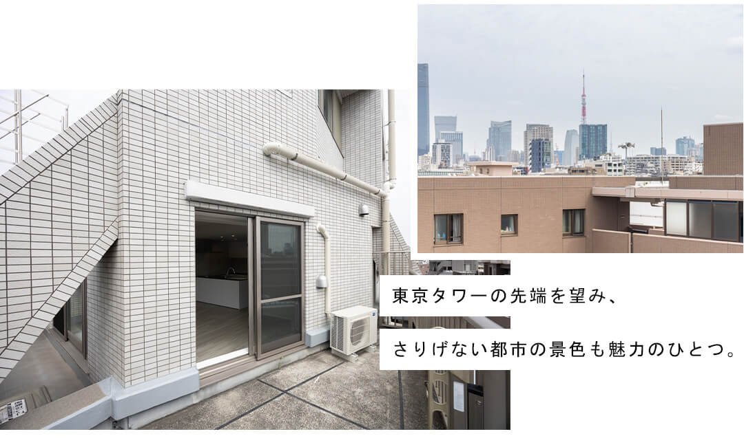 エルラフィナ白金のルーフバルコニー