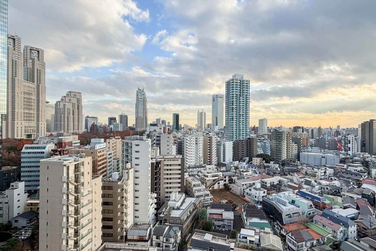 パークタワー西新宿　全居室南向き、新宿エリアのビル群が望める景色が魅力の住まい
