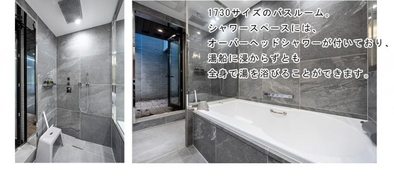 プレミスト南平台の洋室1