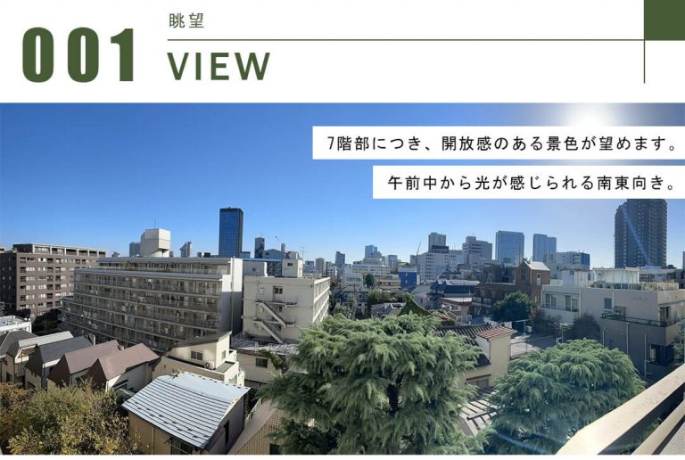 イーストコモンズ清澄白河セントラルタワーの眺望