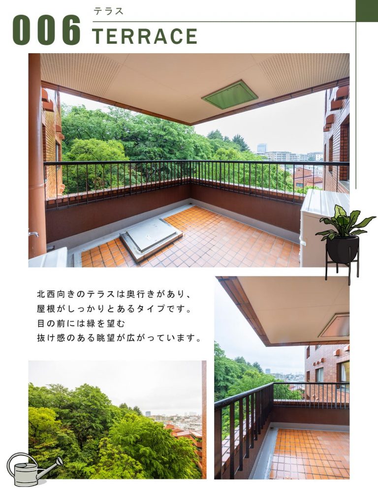 006テラス,TERRACE