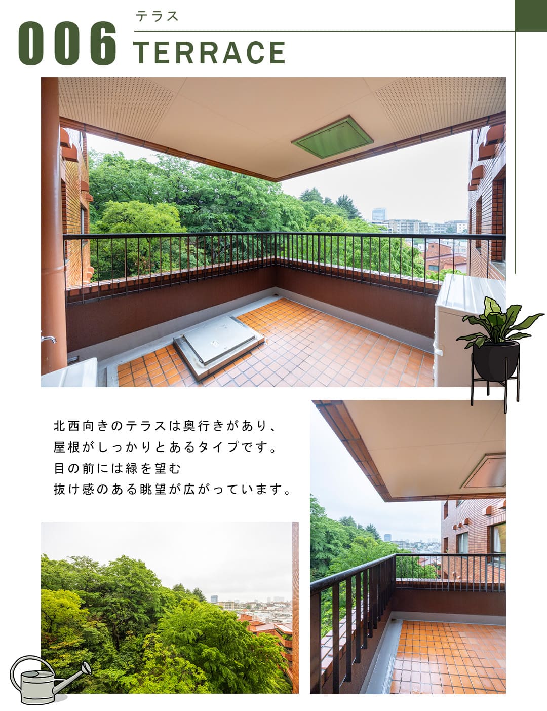 006テラス,TERRACE