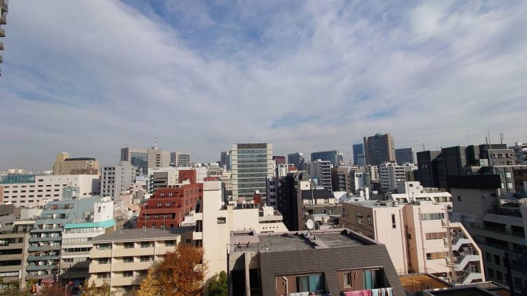 神保町　複数路線利用可能！眺望と快適性を備えた築浅レジデンス