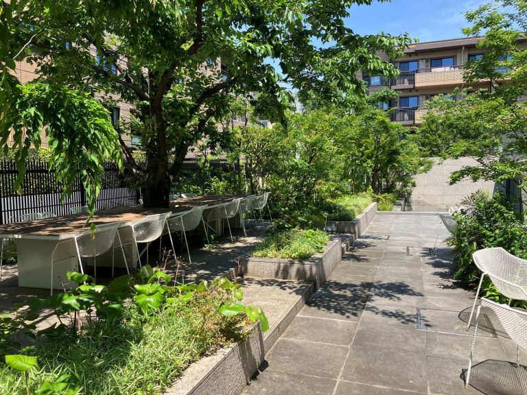 サクラテラス