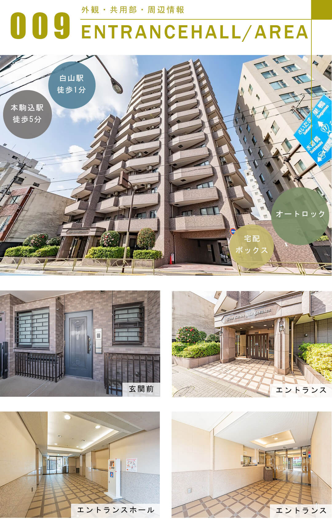 ライオンズガーデンヒルズ白山の外観と共用部