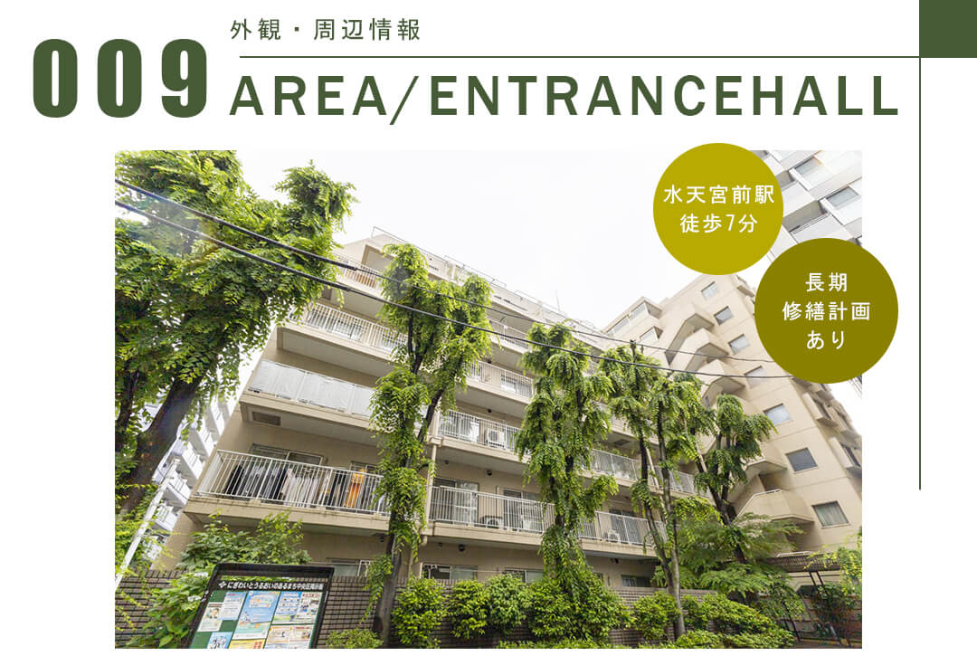 ハイツ日本橋中洲の外観・周辺情報
