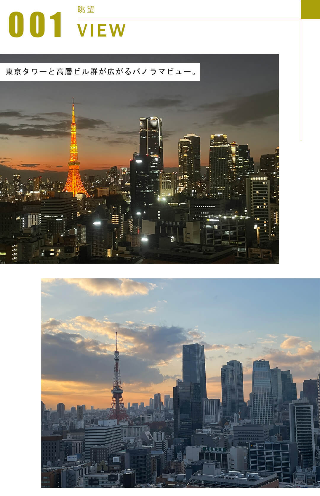 東京ツインパークスライトウィングの眺望