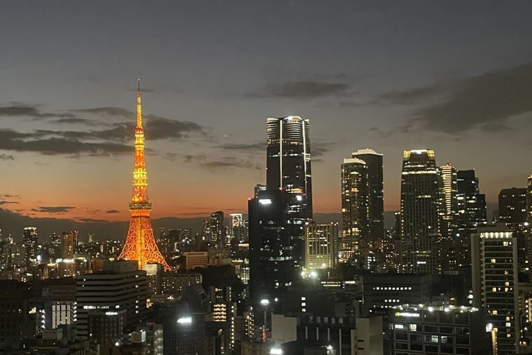 東京ツインパークスライトウィング　東京タワーと高層ビル群を見渡す、2面採光の開放的な暮らし