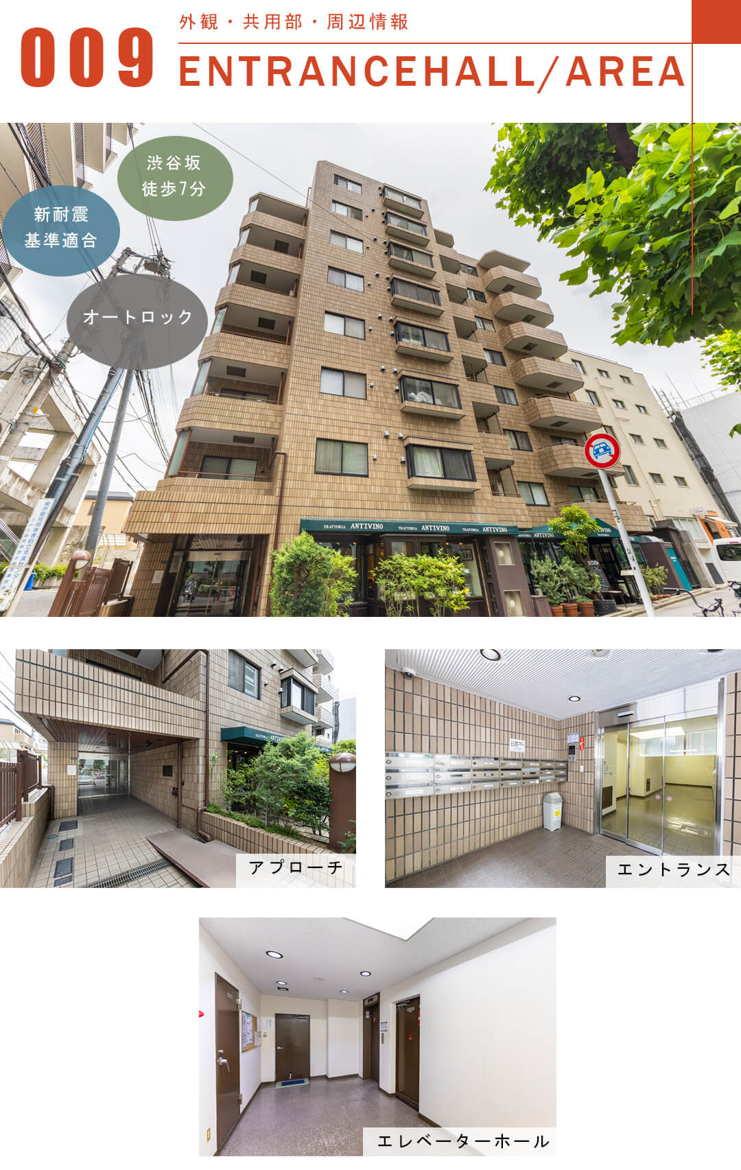 サン・フローラハイツ渋谷の洋室外観と共用部