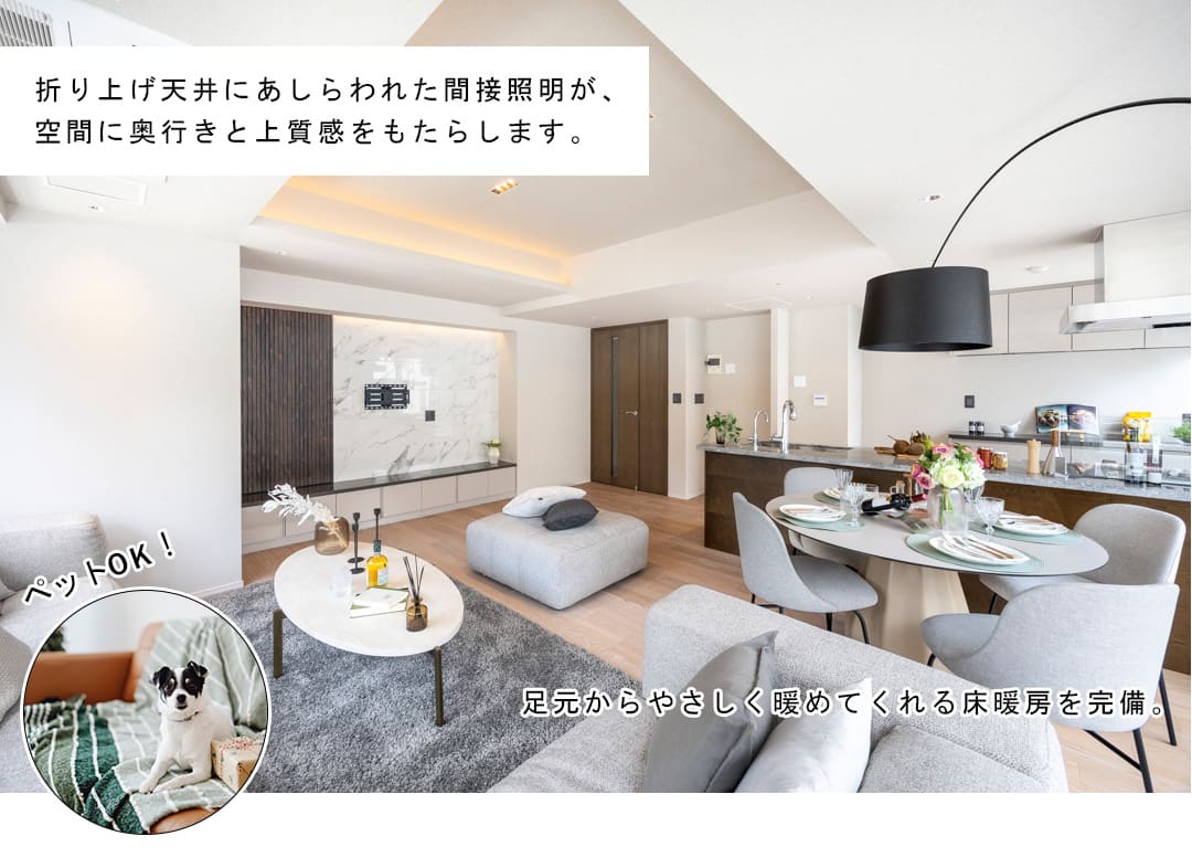 プレミスト南青山のリビングダイニング
