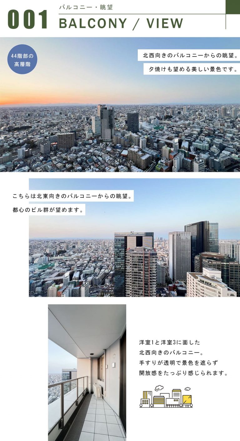 ザ・パークハウス西新宿タワー60のバルコニー・眺望