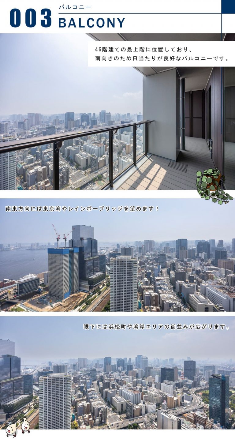 WORLD TOWER RESIDENCEのバルコニー