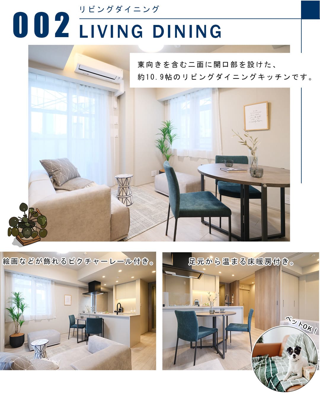 ブランズ東麻布のリビングダイニング
