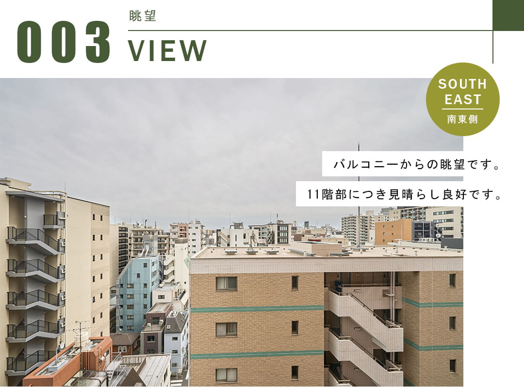 コスモ日本橋浜町の眺望