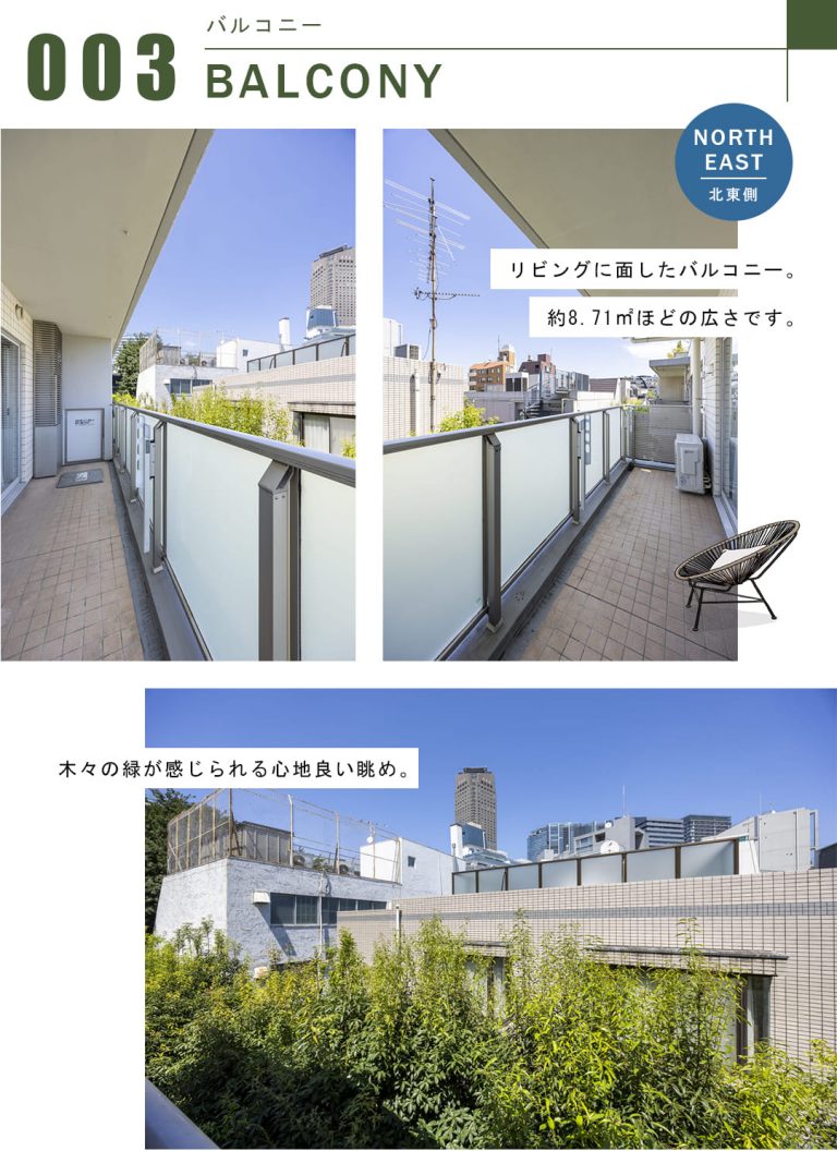 南平台ハウスのバルコニー