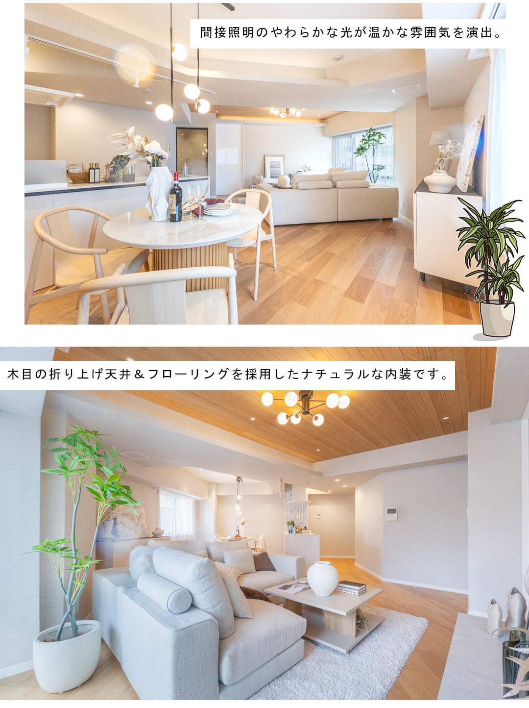 四谷ガーデニアのリビングダイニング
