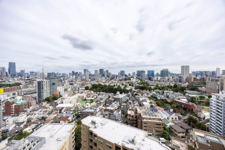 グランドメゾン白金の杜ザ・タワー　プラチナ通り沿い、東京タワーを望む20階角住戸
