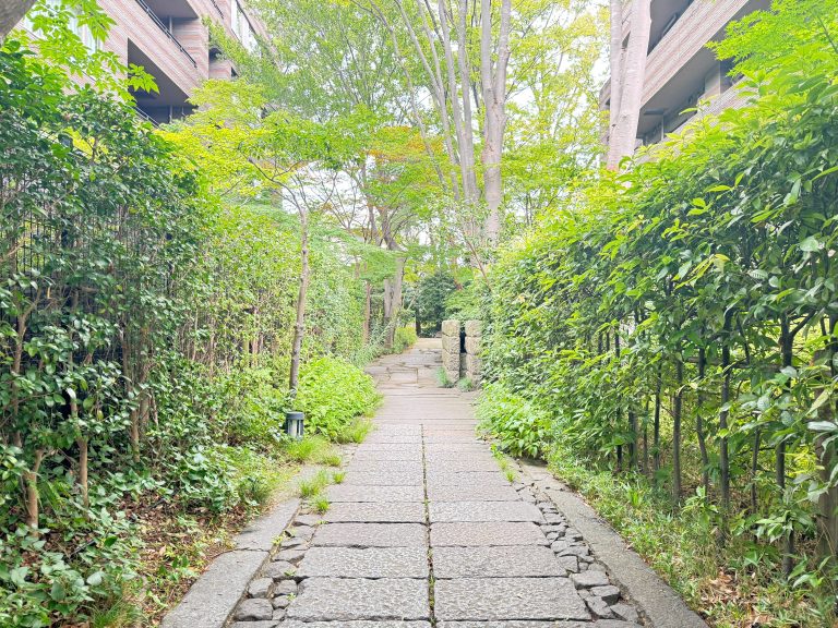 中道