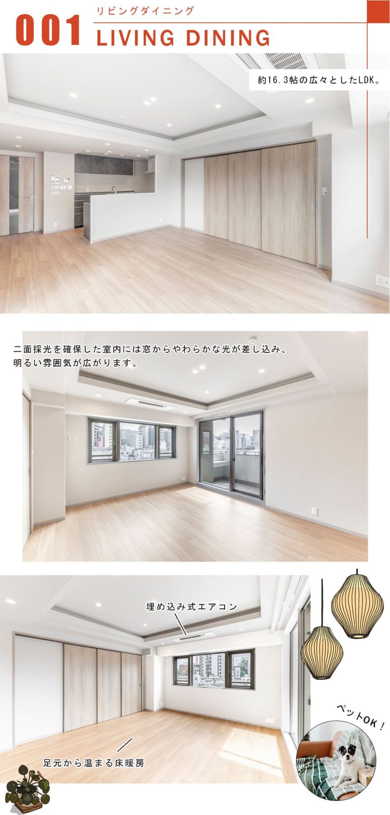 プラウド本郷のリビングダイニング