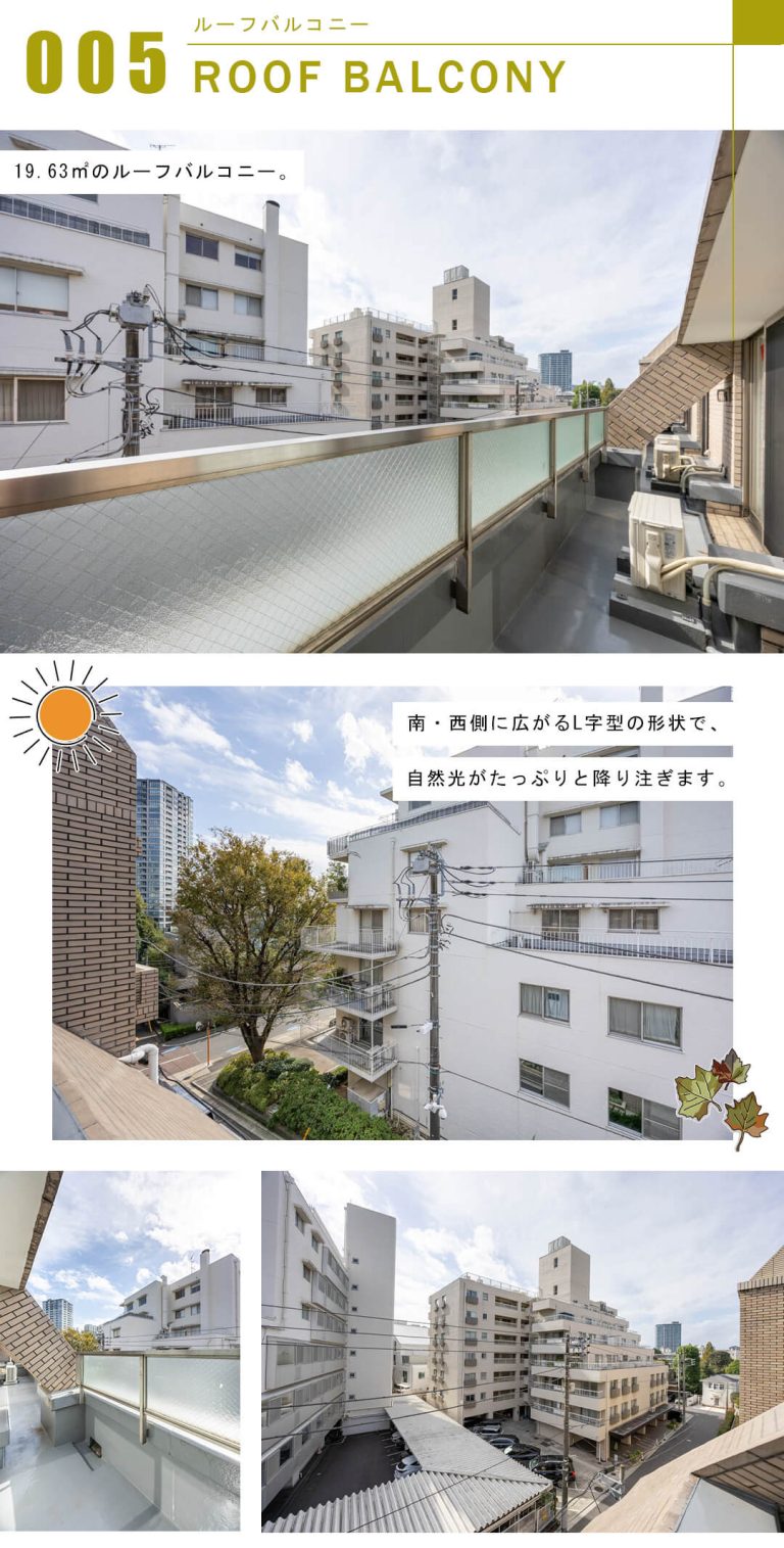 白金三光坂パーク・マンションのルーフバルコニー