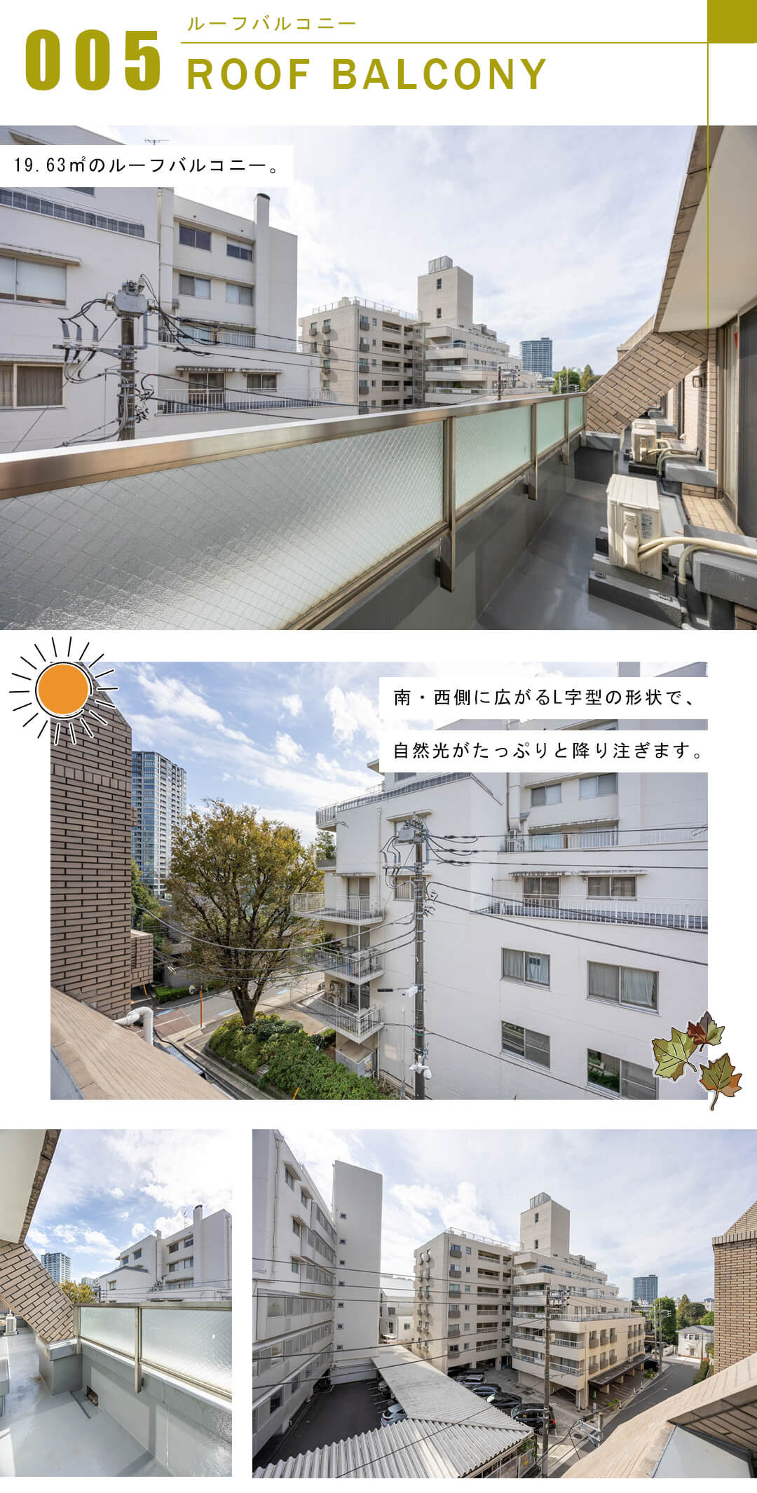 白金三光坂パーク・マンションのルーフバルコニー